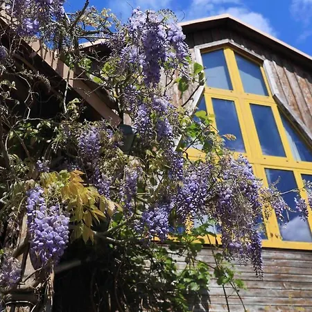 La Grange De Jeannette Appartement Burnhaupt-le-Haut Buitenkant foto